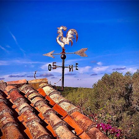 Spartaco Eco Retreat San Pantaleo Sole Ruiu Ngoại thất bức ảnh